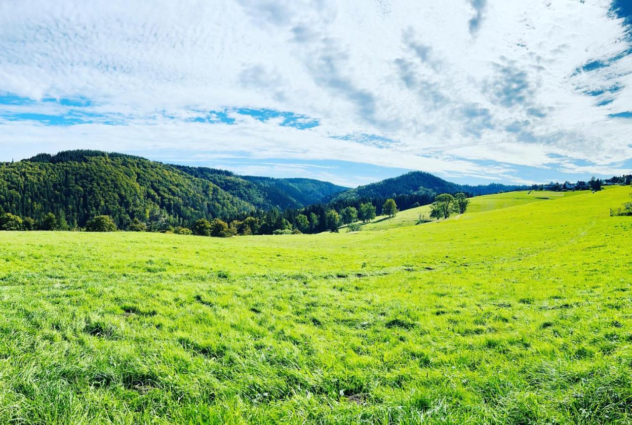 Ferienhaus Doina Gehlberg Exteriér fotografie