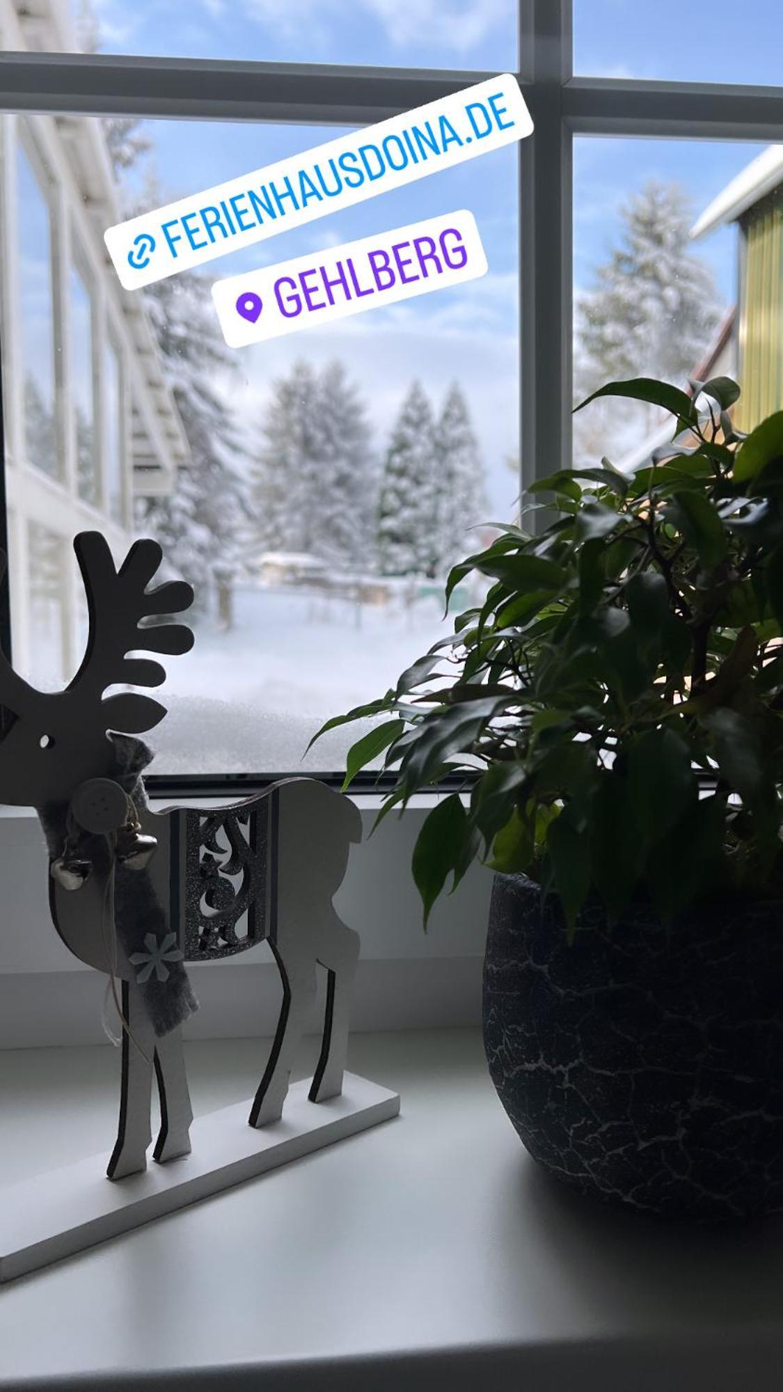 Ferienhaus Doina Gehlberg Exteriér fotografie