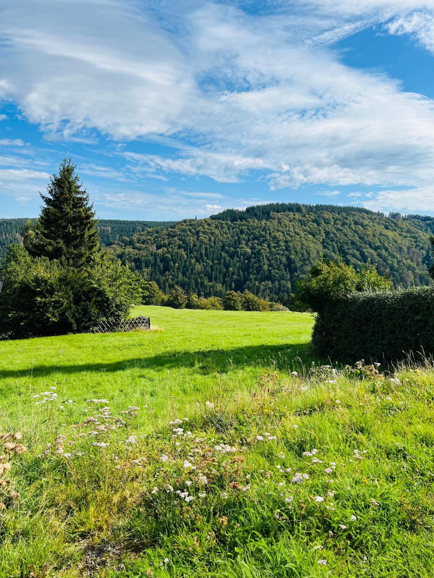 Ferienhaus Doina Gehlberg Exteriér fotografie