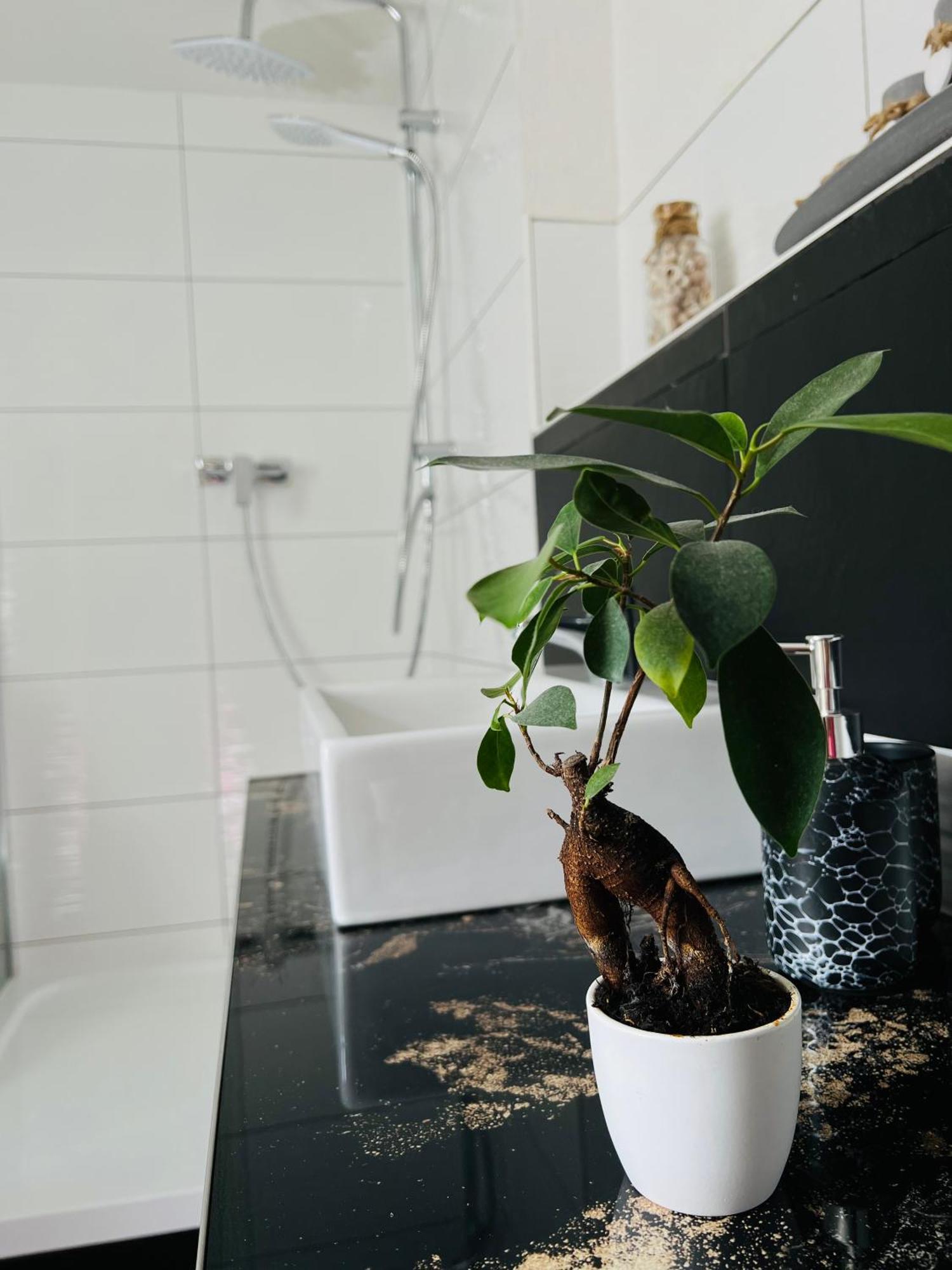 Ferienhaus Doina Gehlberg Exteriér fotografie